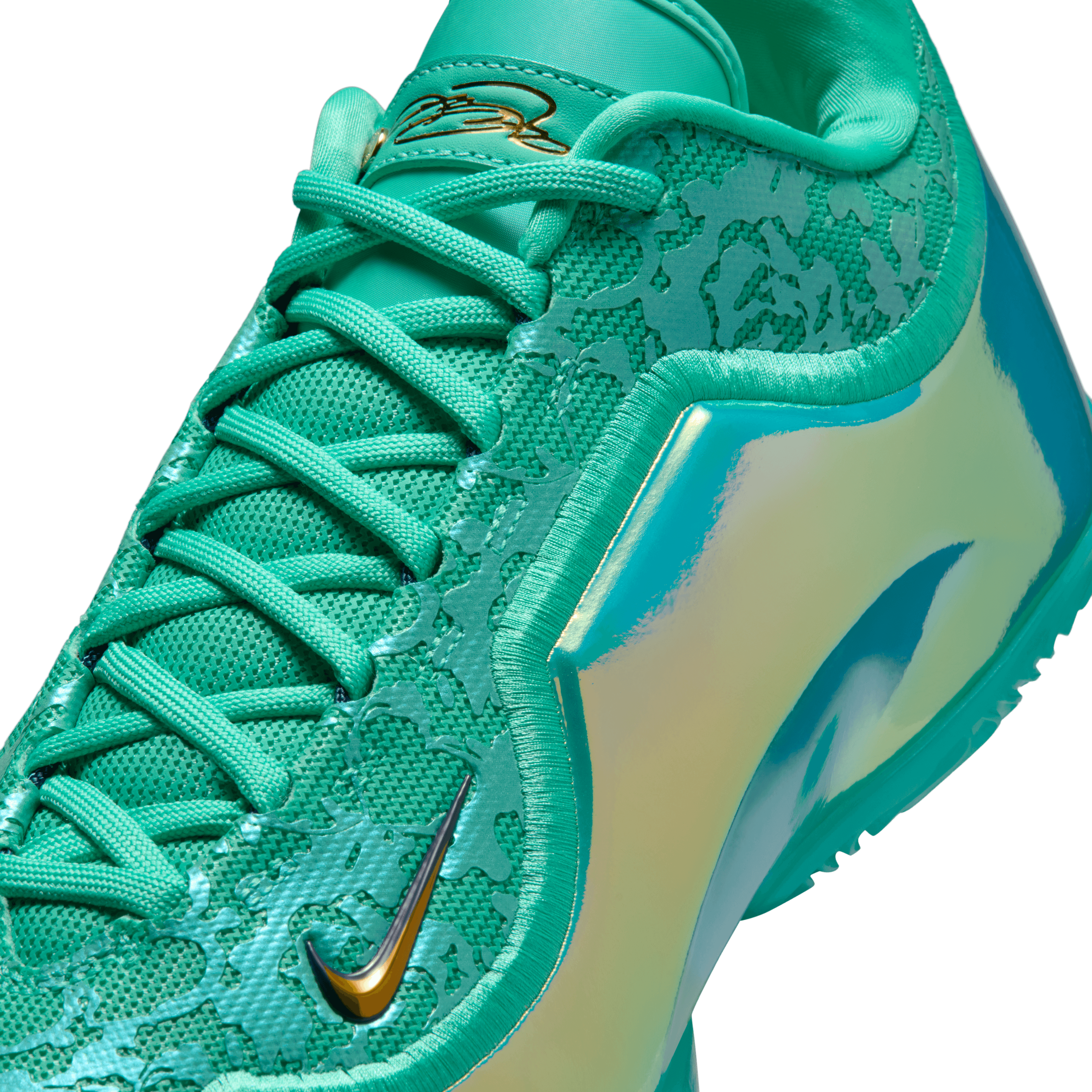 lebron james martin luther king shoes