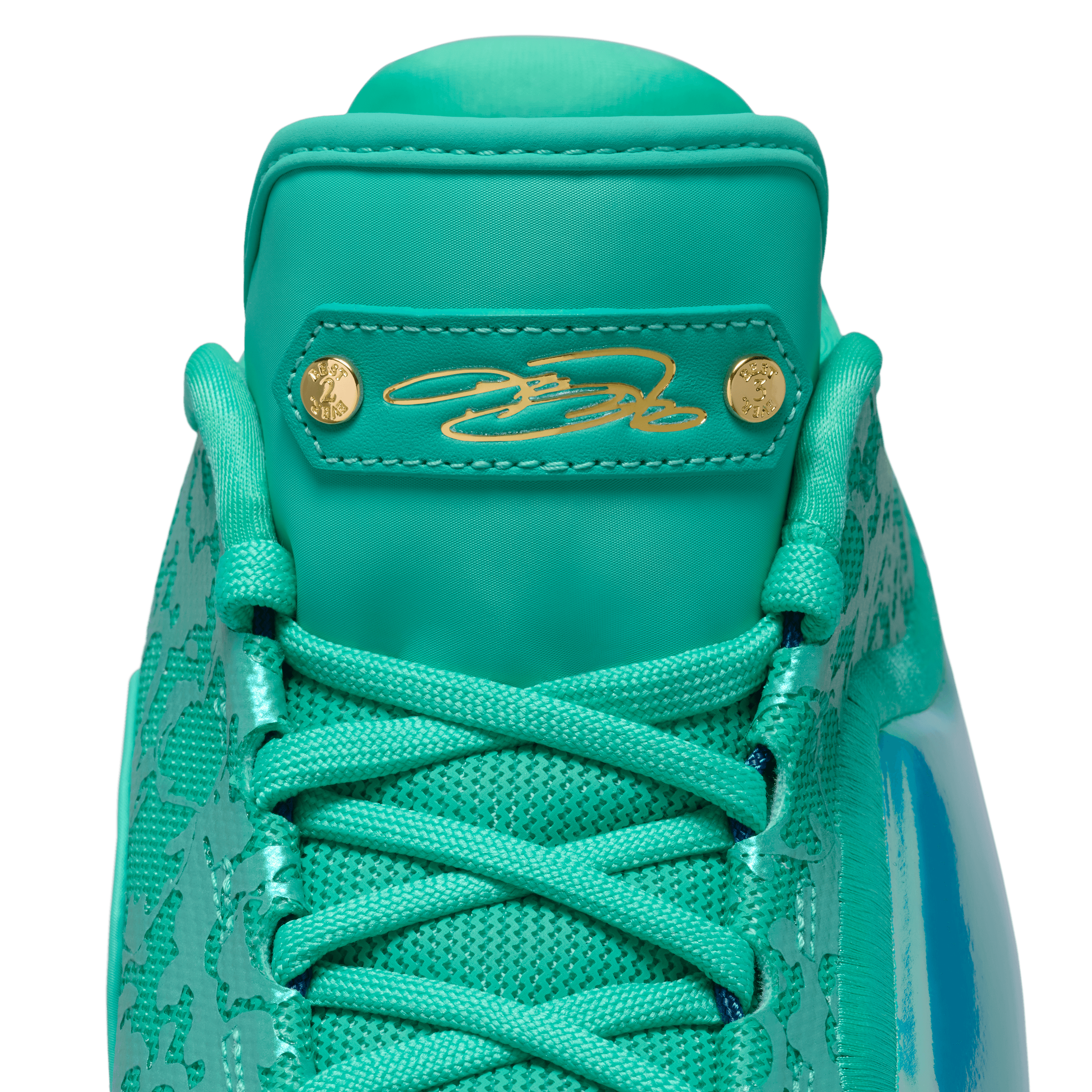 lebron the king shoes