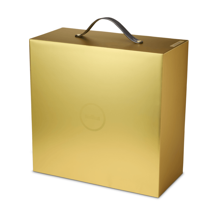 Nike LeBron 23 Honor the King Angle 6