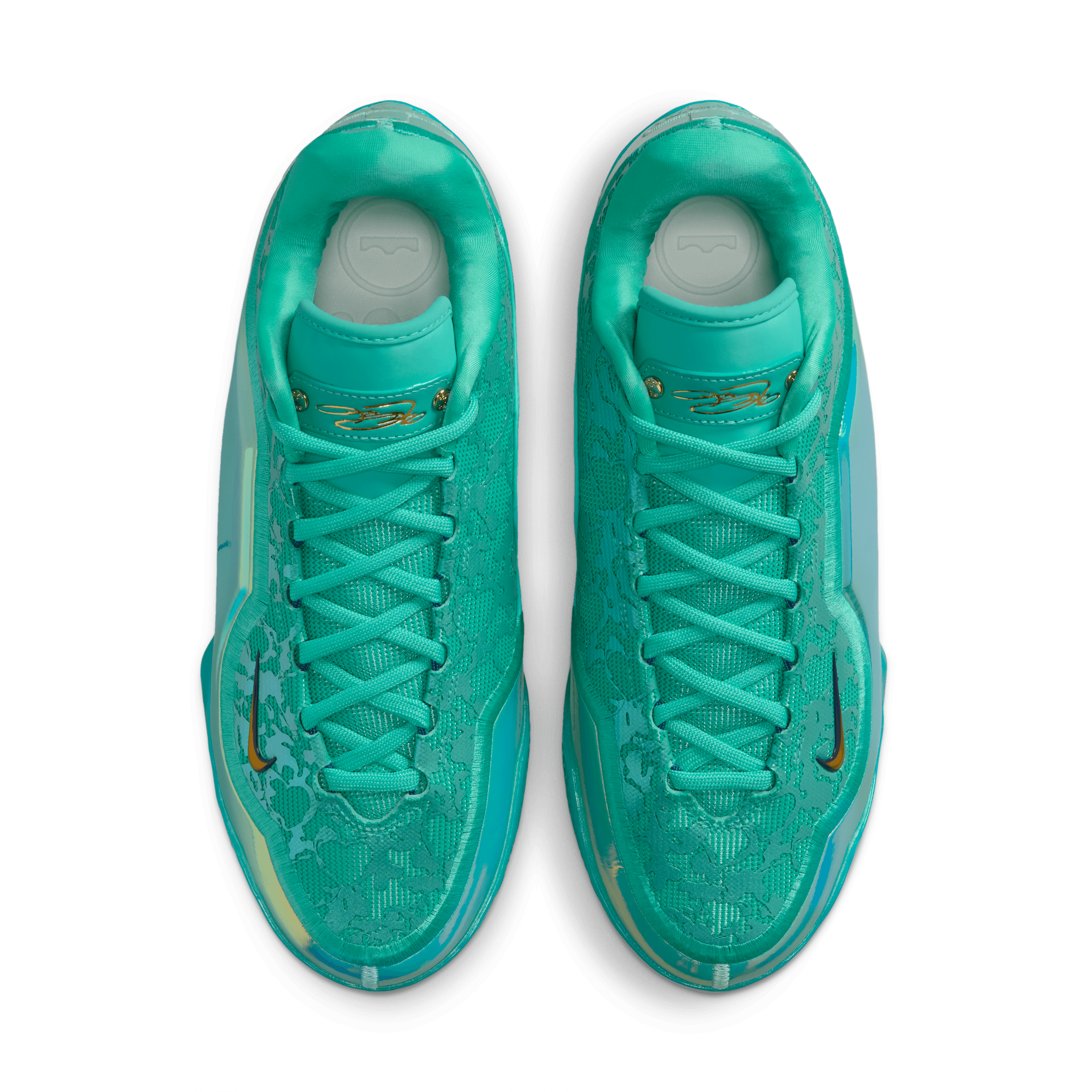 lebron james martin luther king shoes