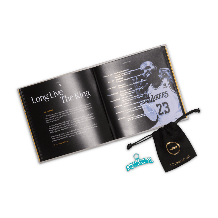 Nike LeBron 23 Honor the King Angle 7