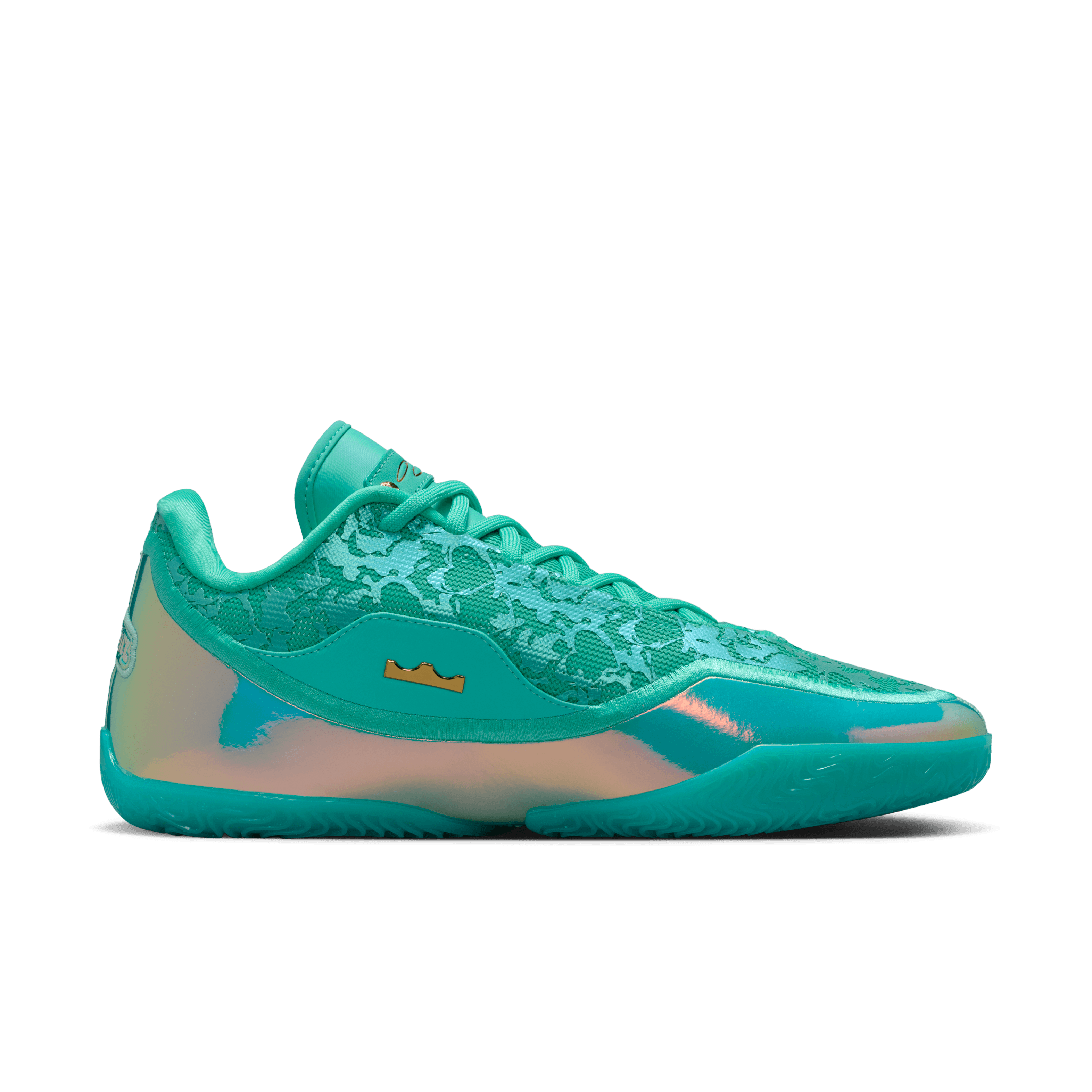 lebron james martin luther king shoes