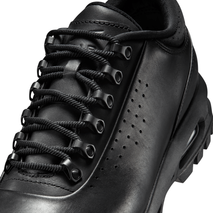 Nike Air Max Goadome Low Black Angle 3