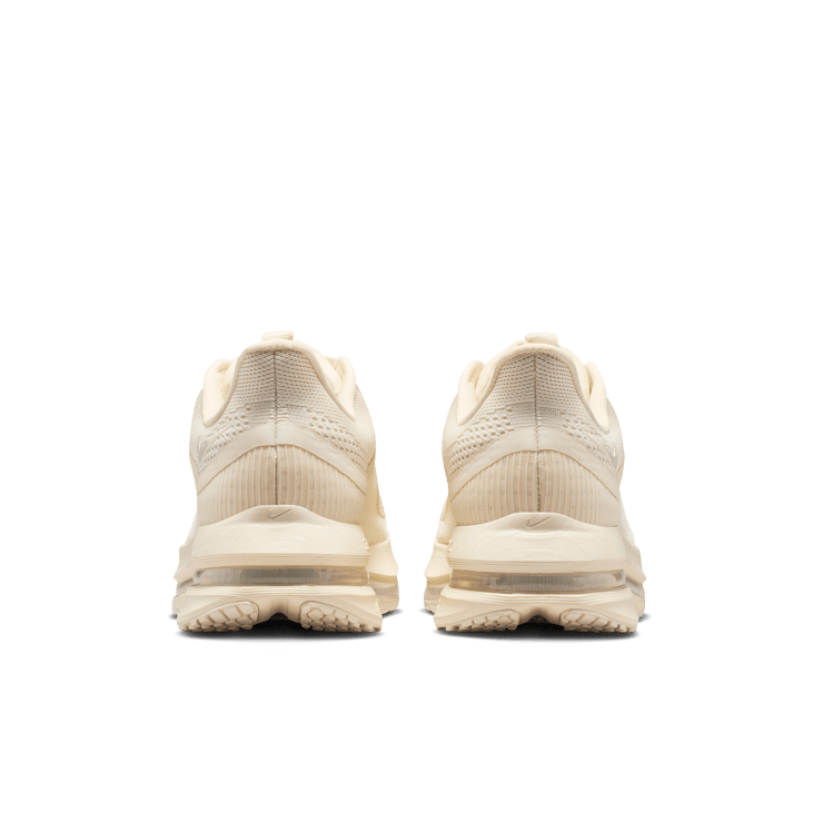 Nike Pegasus Premium Natural Angle 2