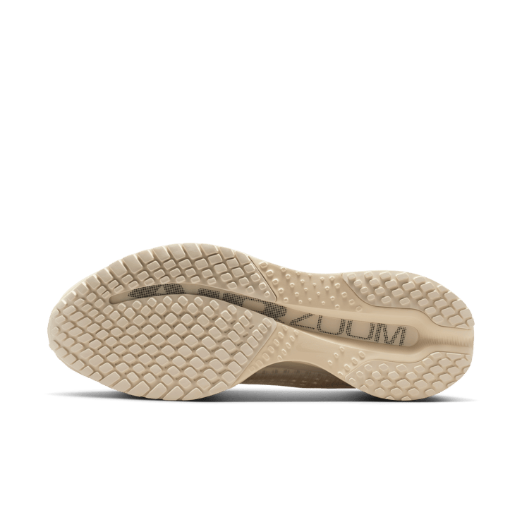 Nike Pegasus Premium Natural Angle 1