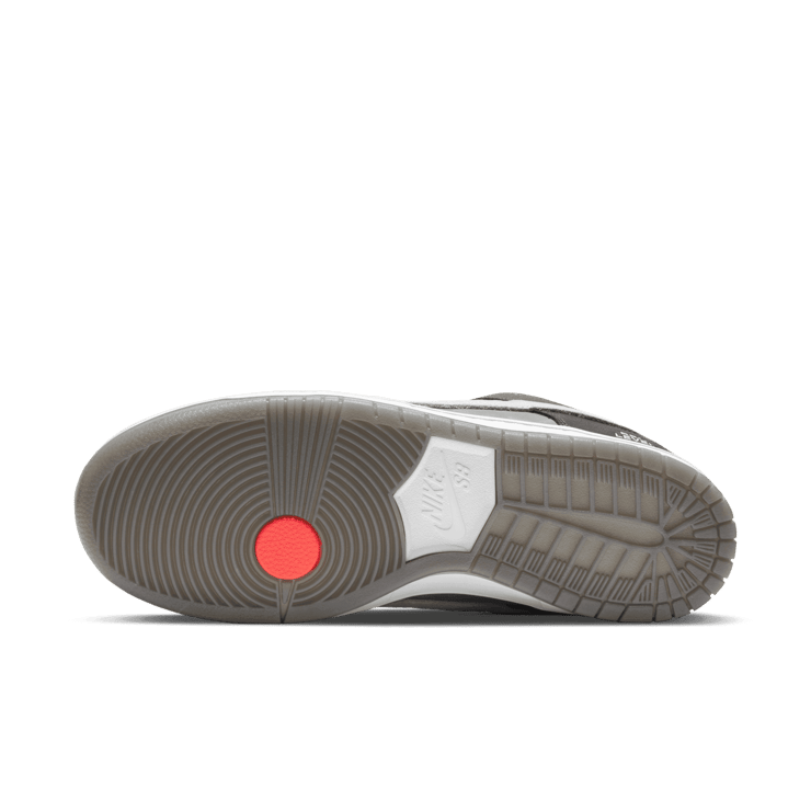 Nike SB Dunk Low Camcorder Angle 0