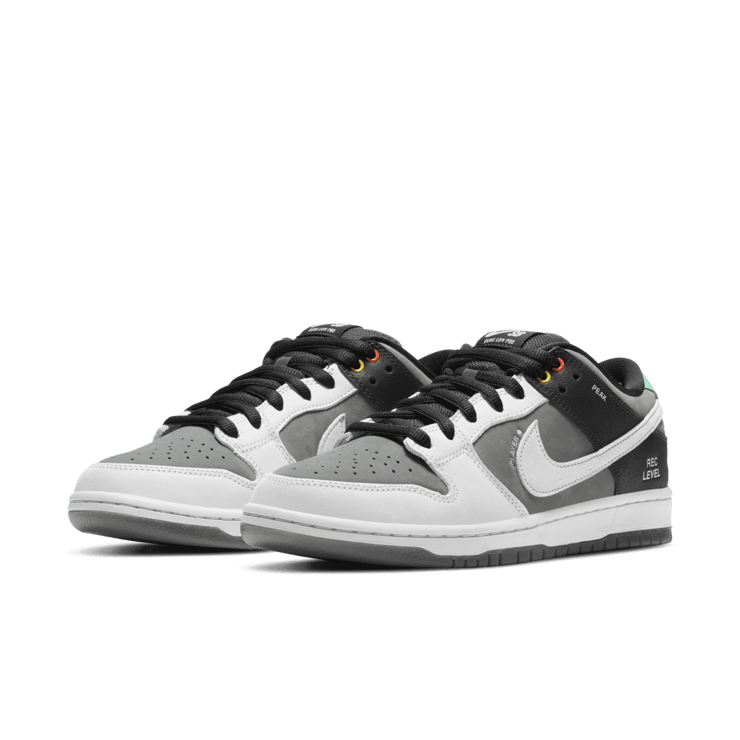 Nike SB Dunk Low Camcorder Angle 2