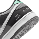 Nike SB Dunk Low Camcorder Angle 5