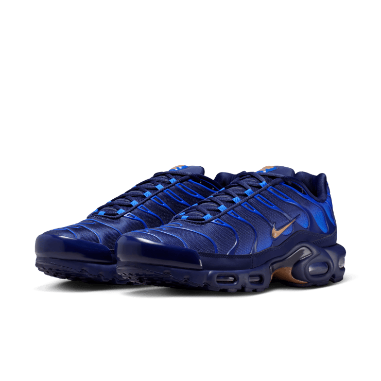 Nike Air Max Plus OG French Football Federation Angle 4