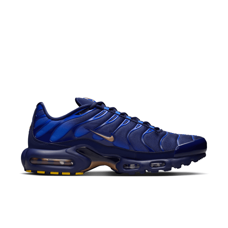Nike Air Max Plus OG French Football Federation Angle 2