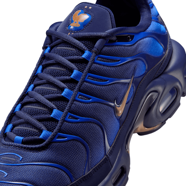 Nike Air Max Plus OG French Football Federation Angle 6