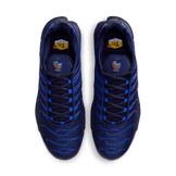 Nike Air Max Plus OG French Football Federation Angle 3