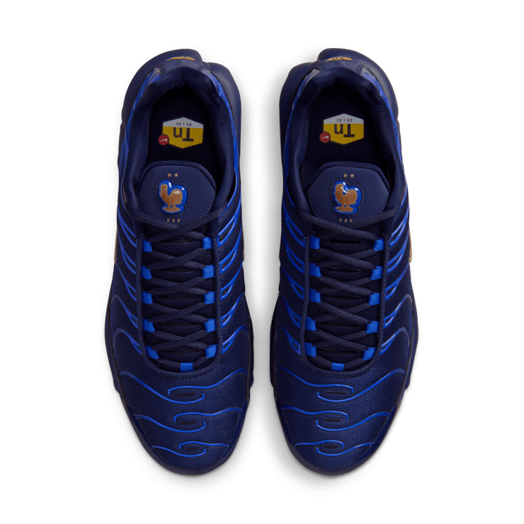 Nike Air Max Plus OG French Football Federation Angle 3