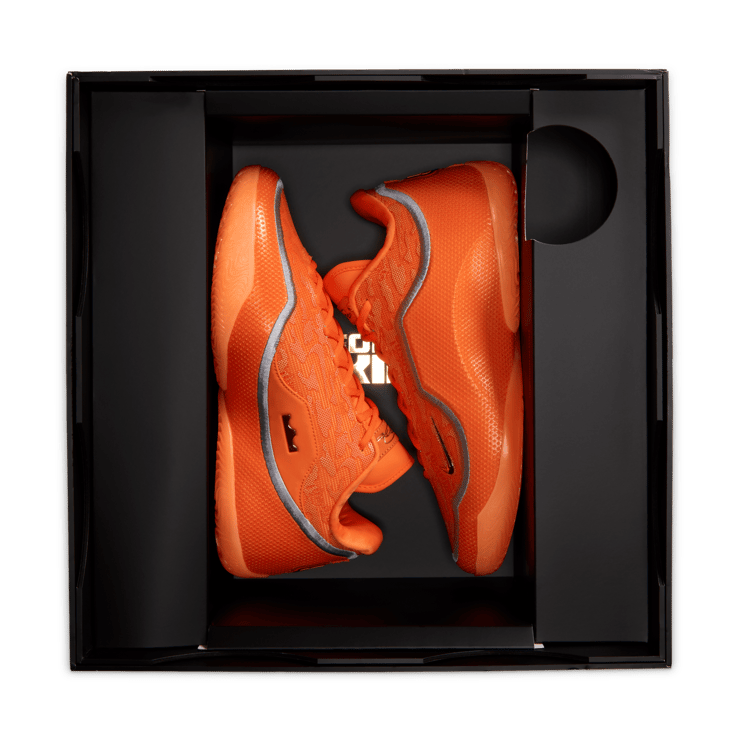 Nike LeBron 23 Shoe Bag Angle 11