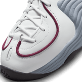 Nike Air Penny 2 Summit White Rosewood (W) Angle 4