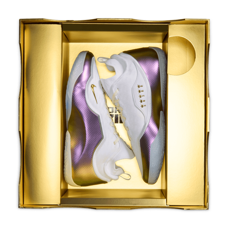 Nike LeBron 23 Elite For The Record Angle 6