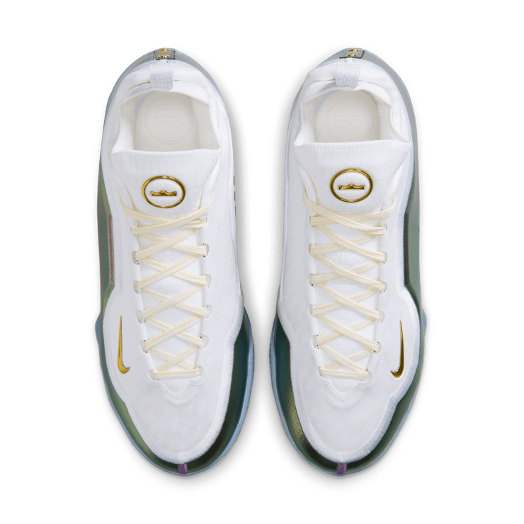 Nike LeBron 23 Elite For The Record Angle 1