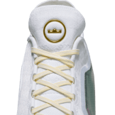 Nike LeBron 23 Elite For The Record Angle 4