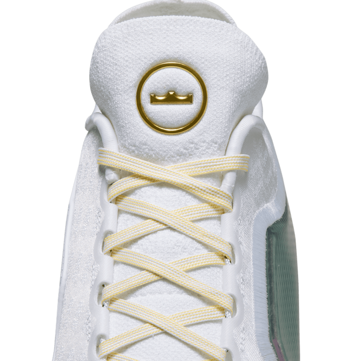 Nike LeBron 23 Elite For The Record Angle 4