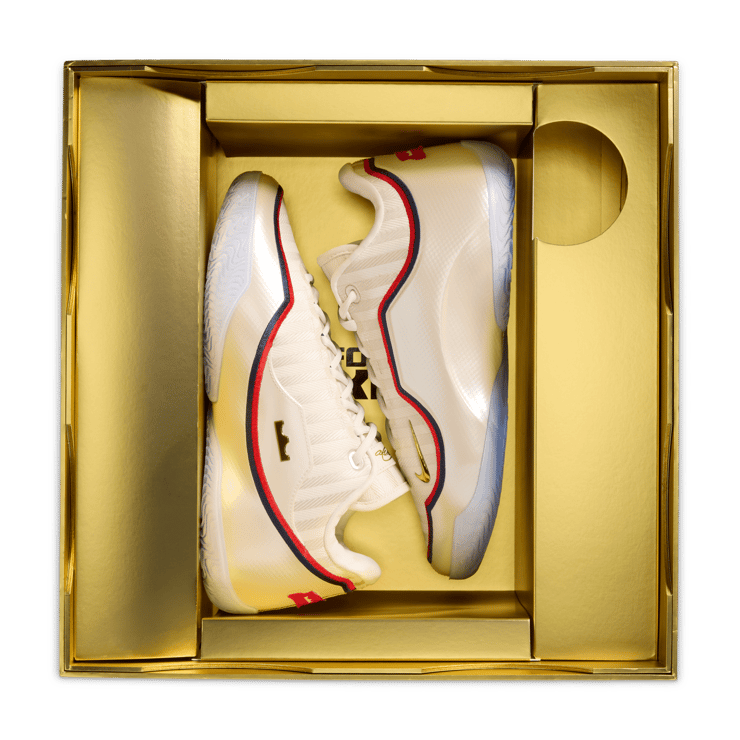 Nike LeBron 23 Old Glory Angle 9
