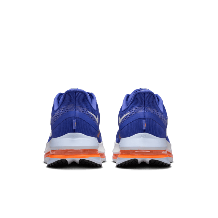 Nike Pegasus Premium Knicks Angle 5