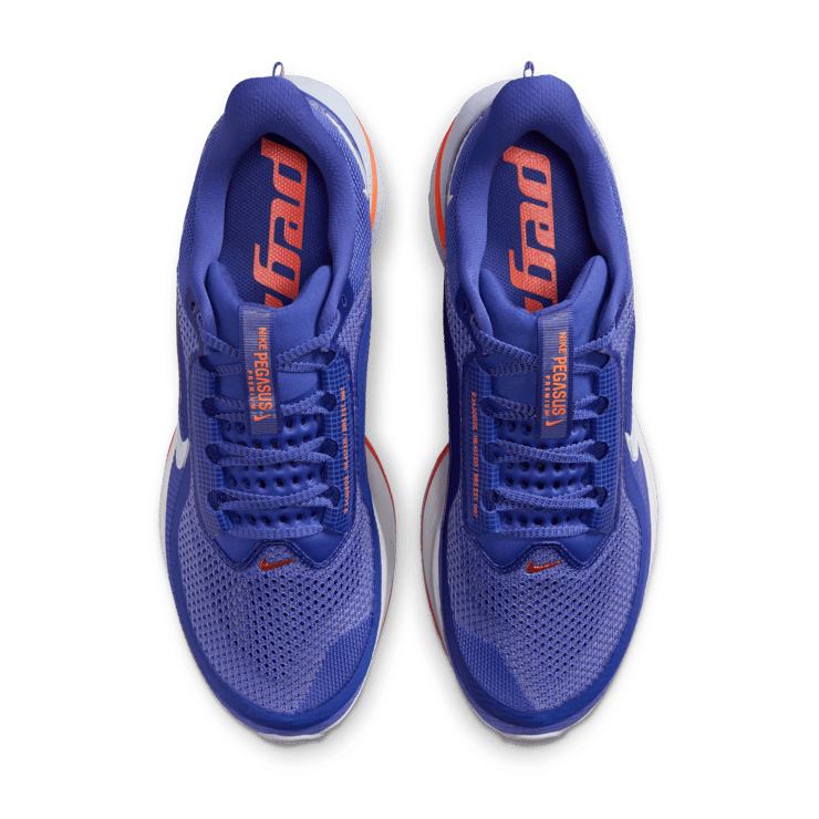 Nike Pegasus Premium Knicks Angle 3
