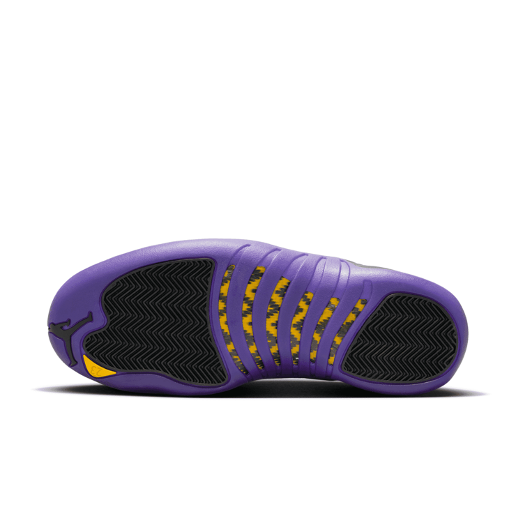 Air Jordan 12 Retro Field Purple CT8013-057 Raffles Where to Buy