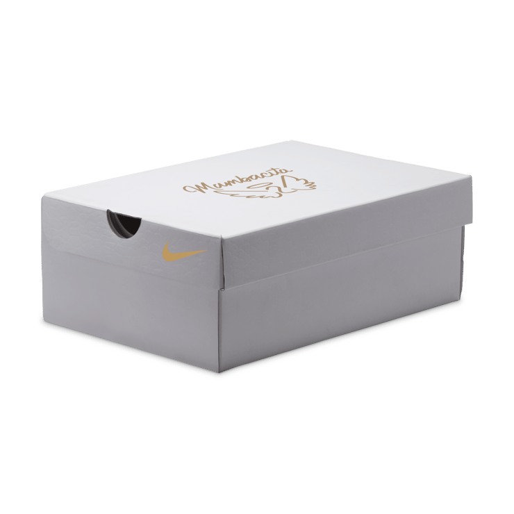Nike Kobe 3 Low Protro Mambacita (GS) Angle 10