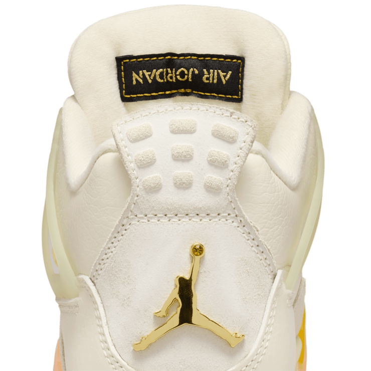 Air Jordan 4 Retro Birds of Paradise (W) Angle 8