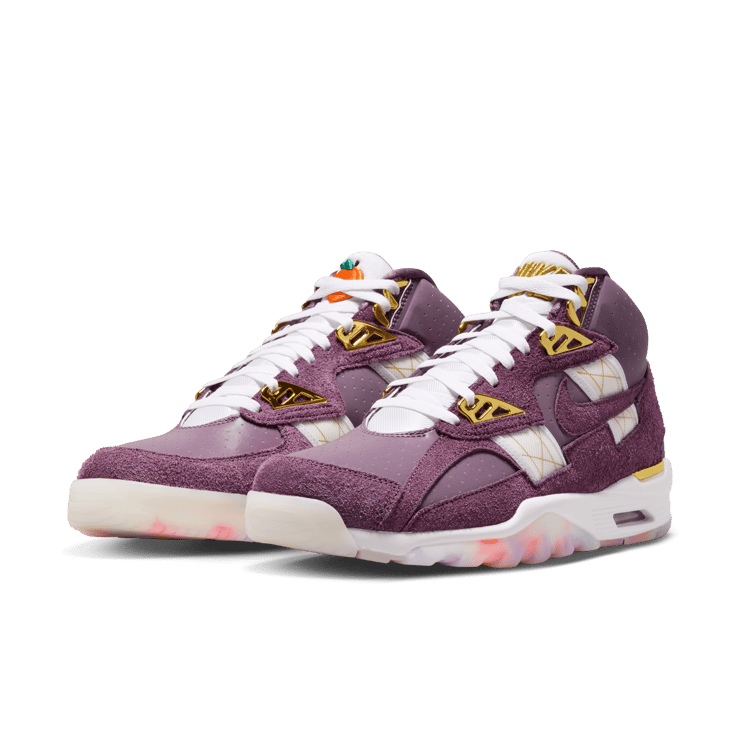 Nike Air Trainer SC Atlanta Olympics 30th Anniversary Angle 4