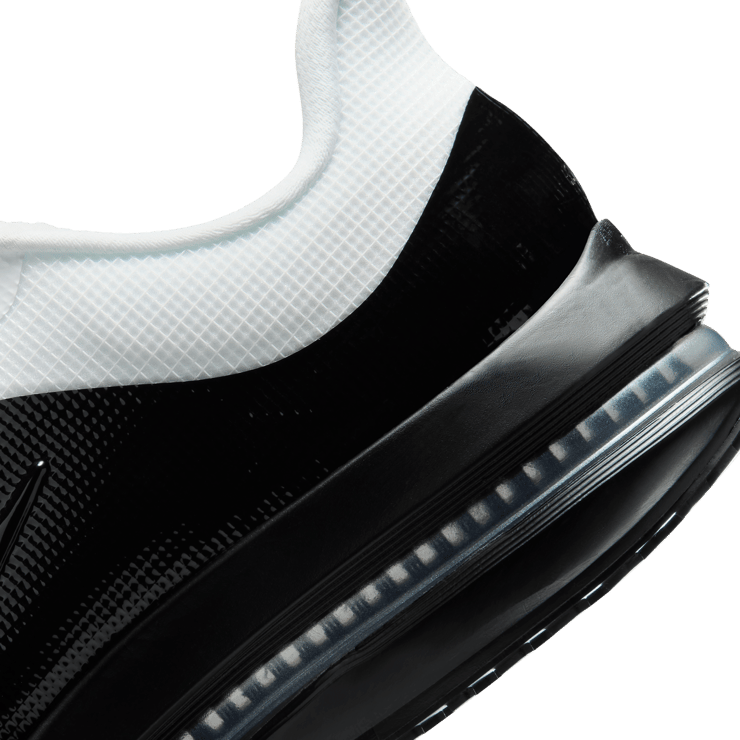 Nike Pegasus Premium SP White Black Angle 7