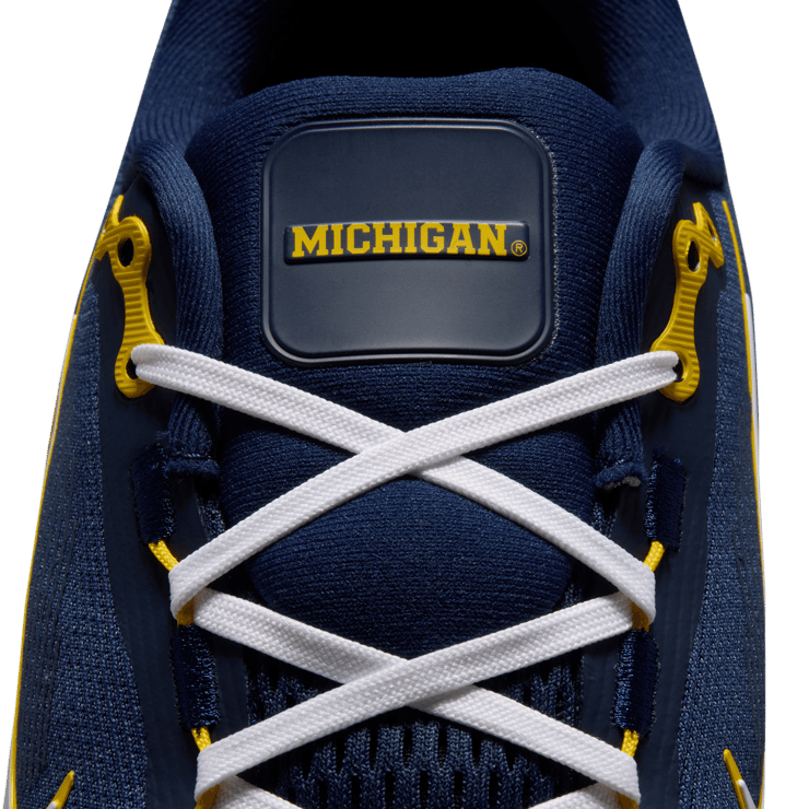 Nike Vomero 18 Michigan Angle 7