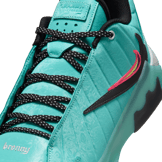 Nike LeBron Witness 9 Bronny James South Beach PE Angle 6