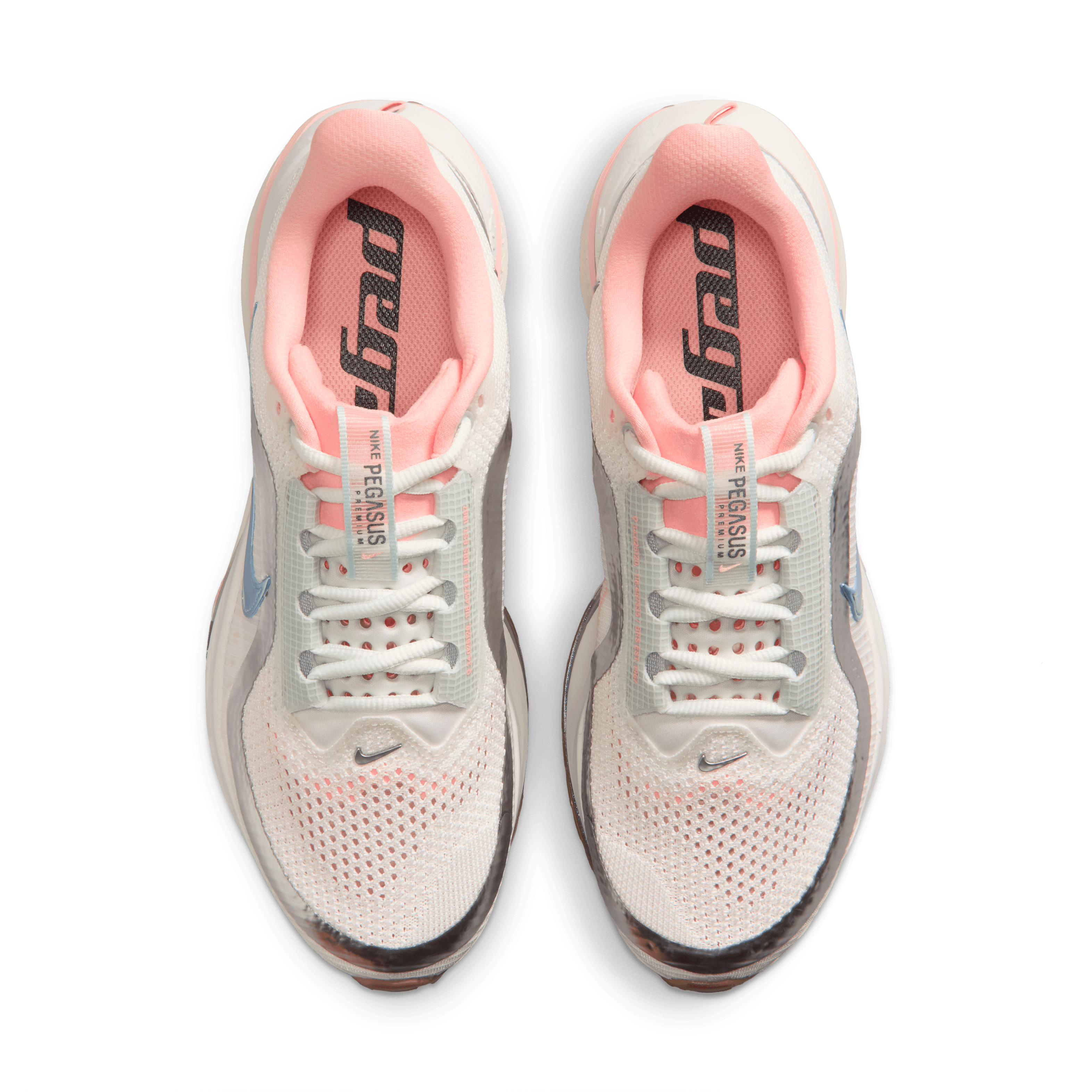 Nike Pegasus Premium Now and Then (Dick's Exclusive) (W) Angle 3