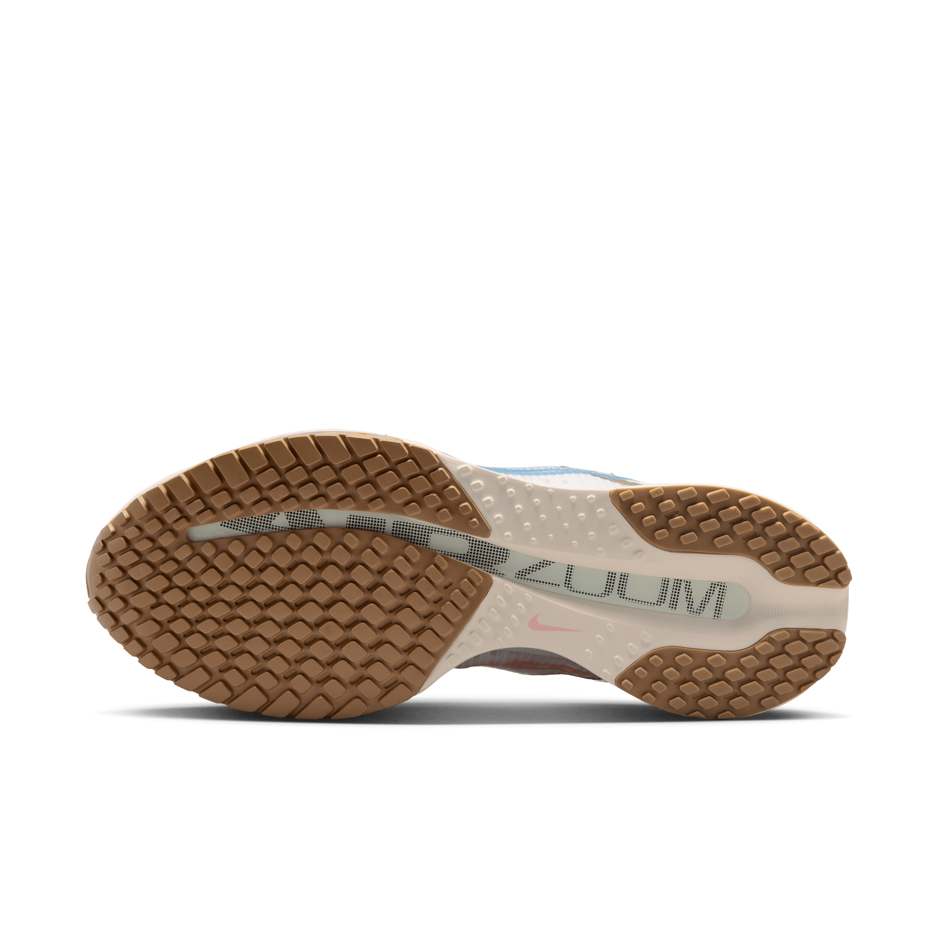 Nike Pegasus Premium Now and Then (Dick's Exclusive) (W) Angle 1