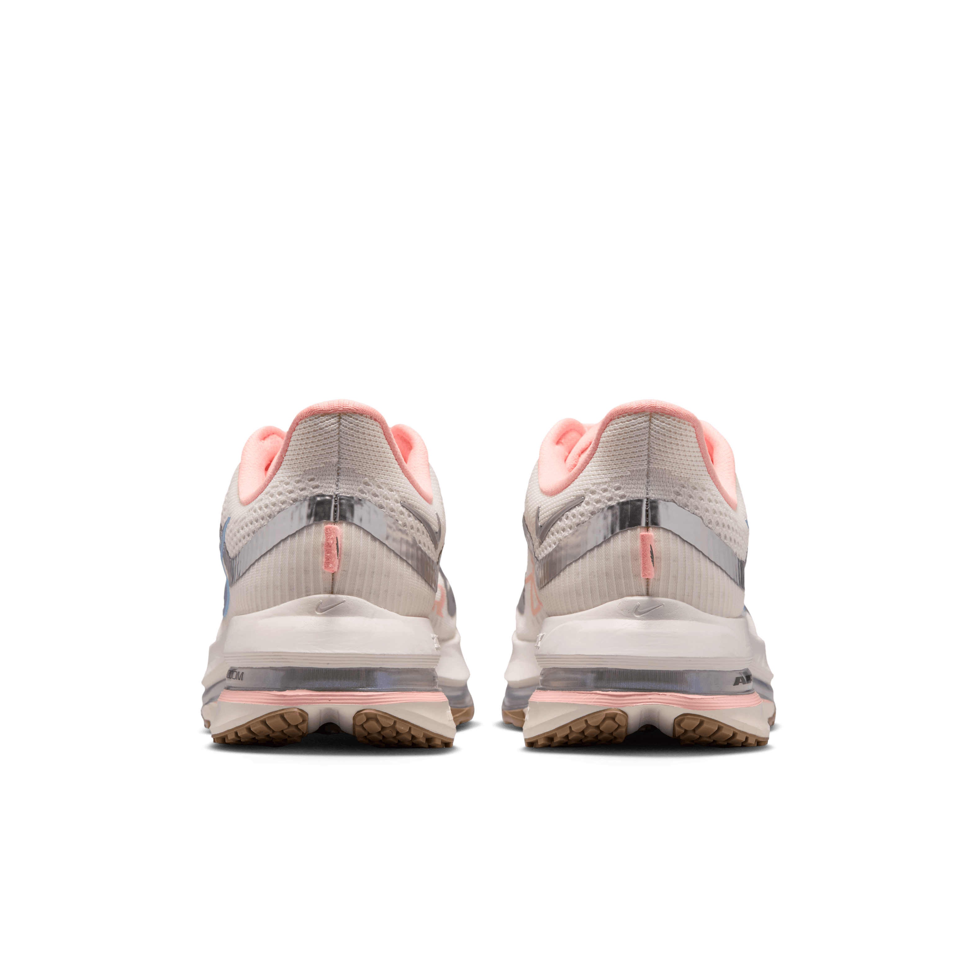 Nike Pegasus Premium Now and Then (Dick's Exclusive) (W) Angle 5