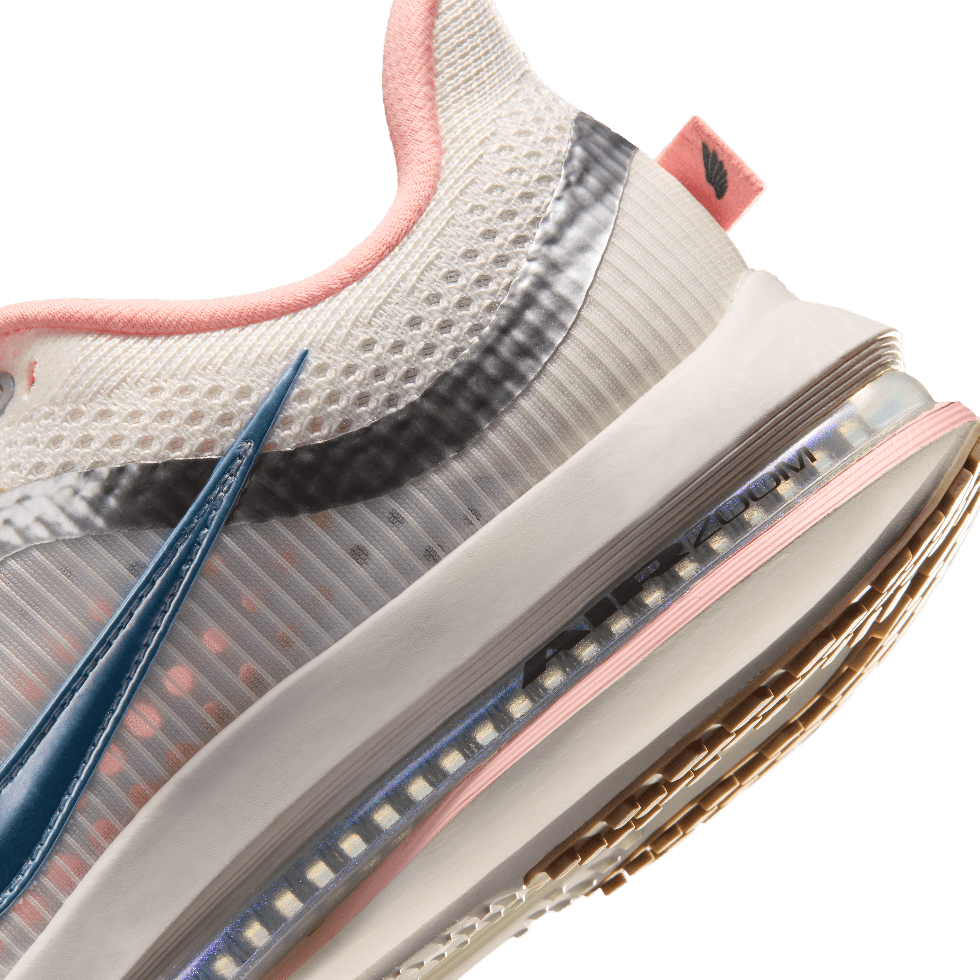 Nike Pegasus Premium Now and Then (Dick's Exclusive) (W) Angle 7