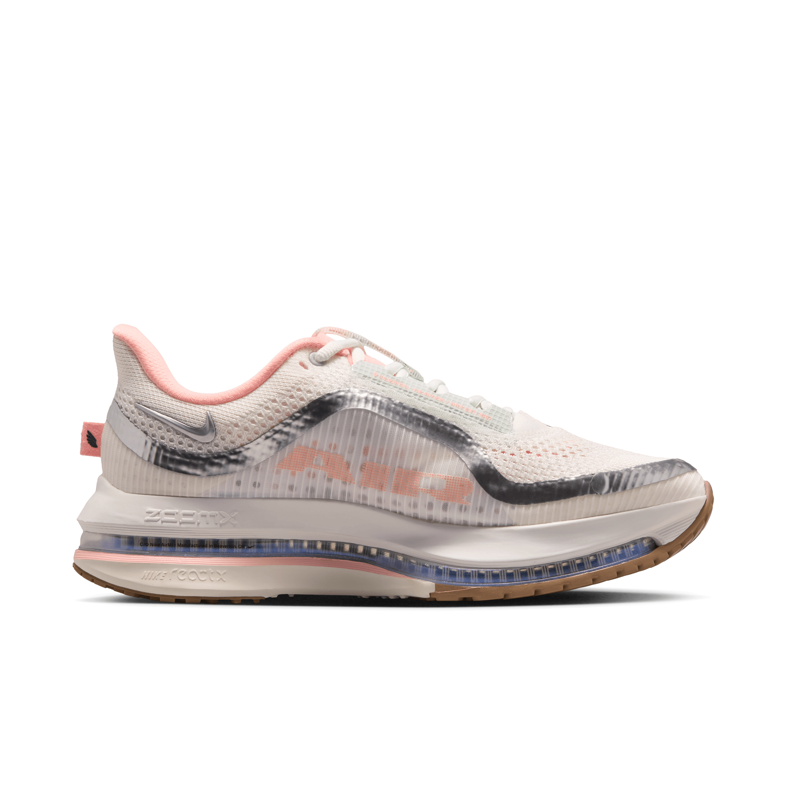 Nike Pegasus Premium Now and Then (Dick's Exclusive) (W) Angle 2