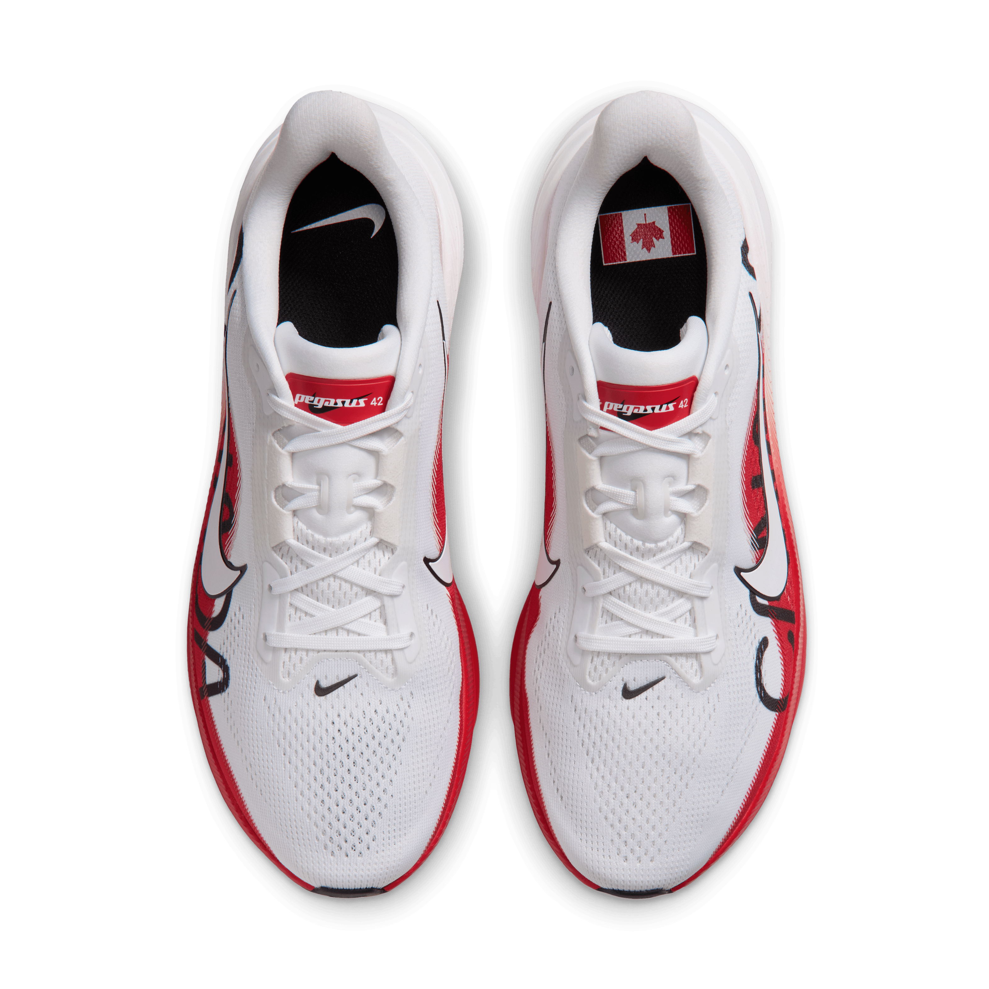 Nike Pegasus 42 Canada Angle 3