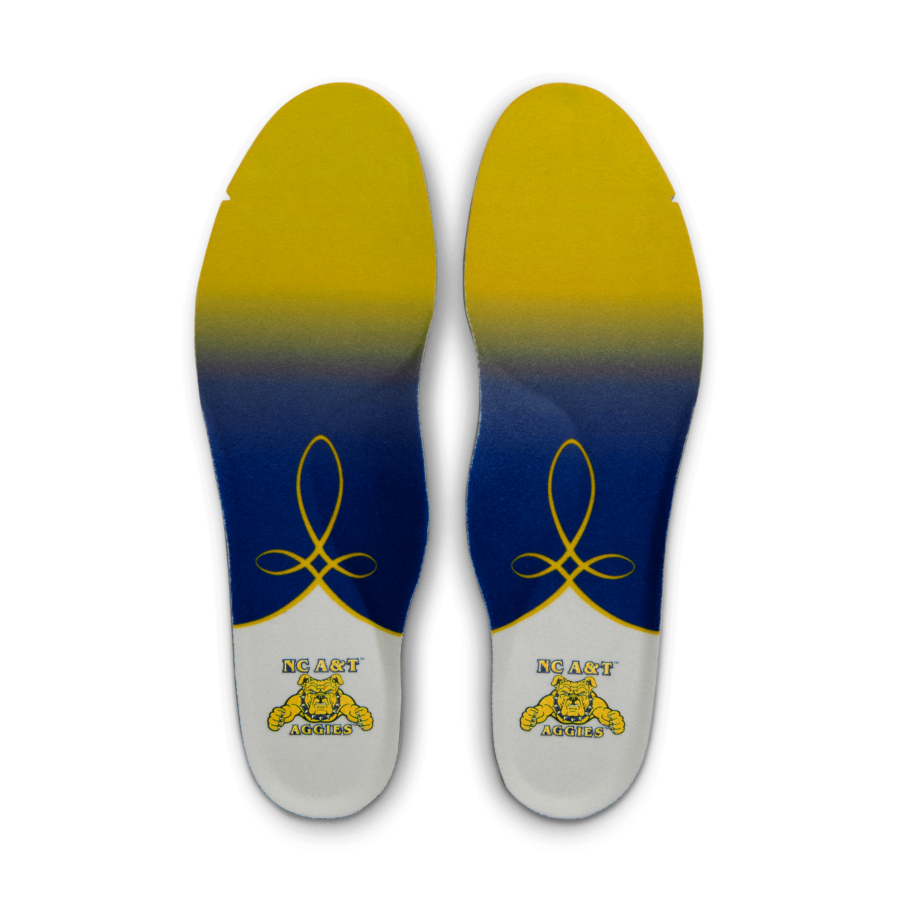 Nike Air Max 97 North Carolina A&T University Angle 9