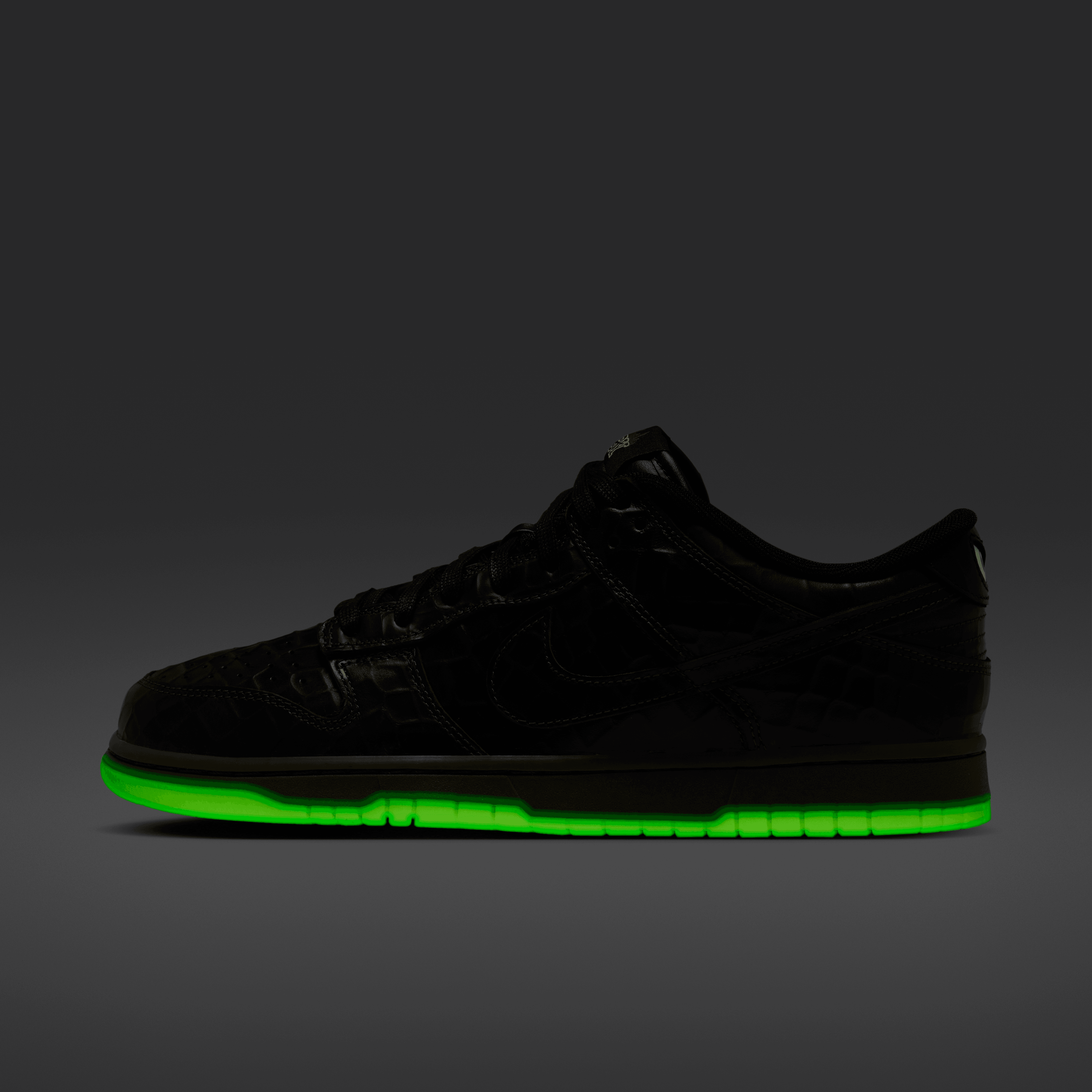 Nike Dunk Low Shibuya Angle 8