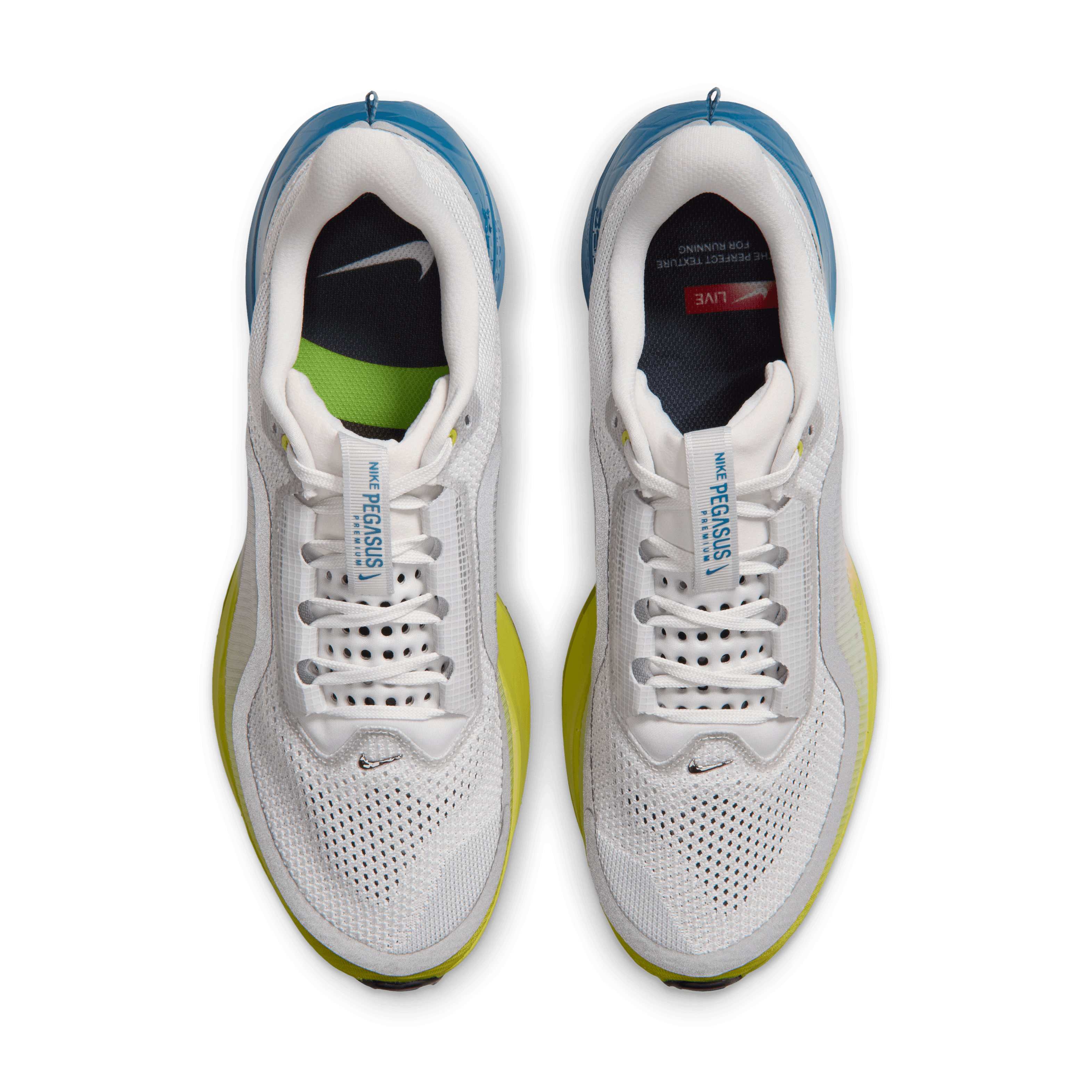 Nike Pegasus Premium Perfect Texture for Running Angle 3