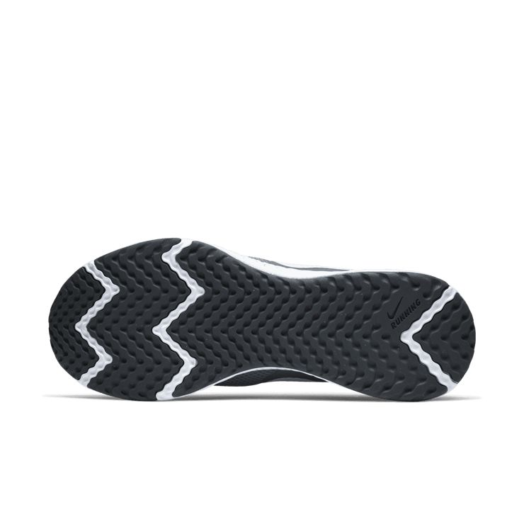 Nike Revolution 5 Cool Grey Angle 0