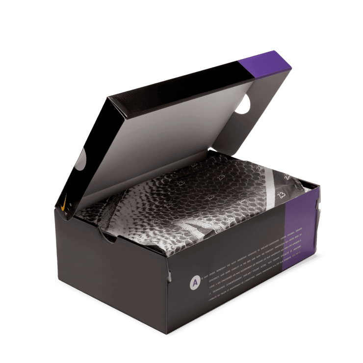 Nike Air Max 95 NRG LeBron Lakers Angle 12