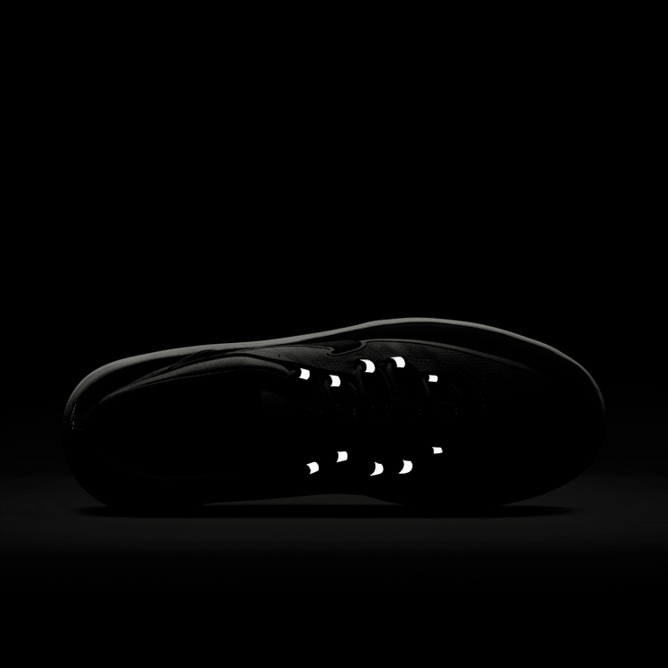 Nike SB Nyjah Free 2 Spiridon Olympic Angle 7