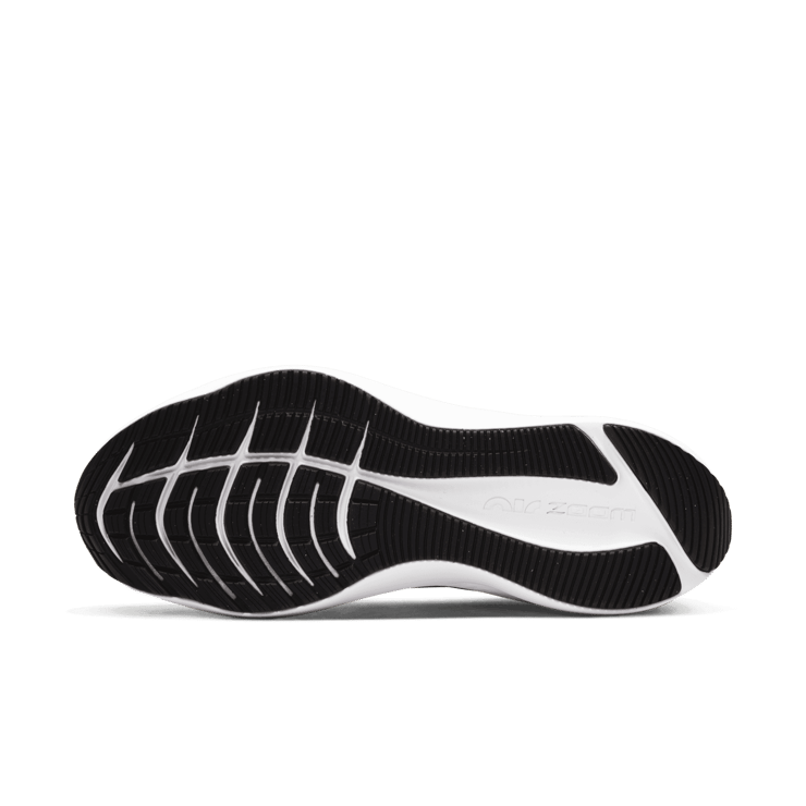 Nike Zoom Winflo 7 Black Anthracite (W) Angle 0