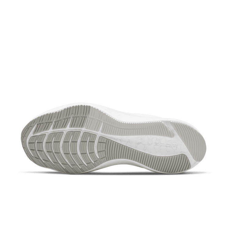 Nike Zoom Winflo 8 White Metallic Silver (W) Angle 0