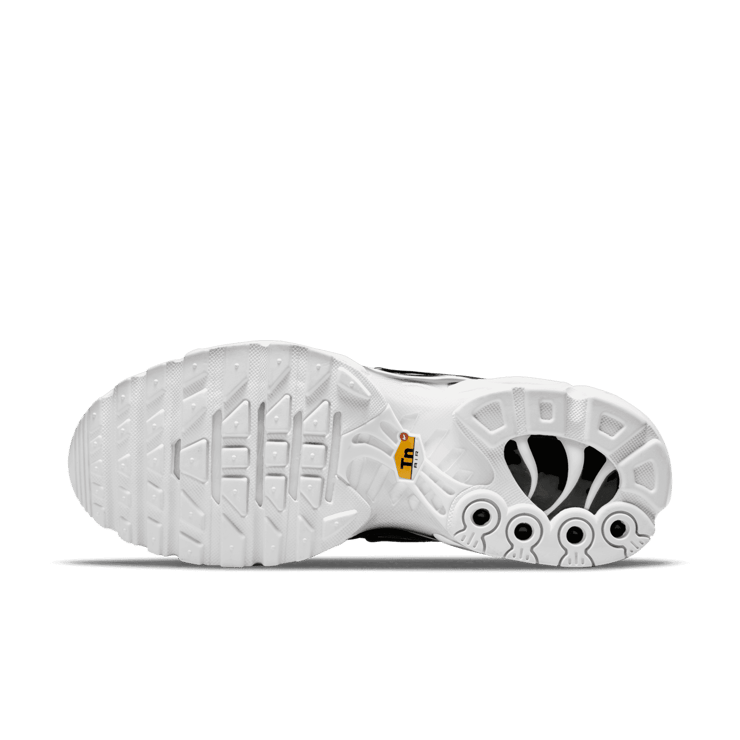 Nike Air Max Plus Black White (W) Angle 0