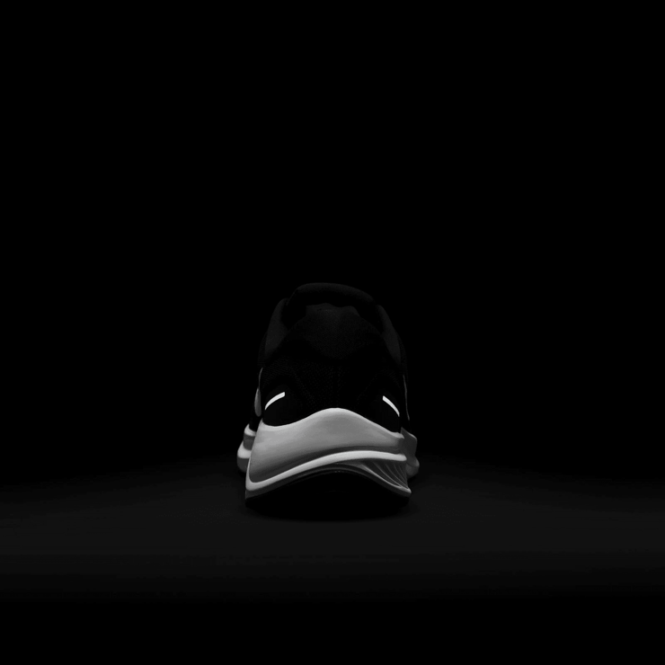 Nike Air Zoom Structure 24 Black White Angle 6