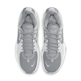 Nike PG 5 TB Wolf Grey Angle 1